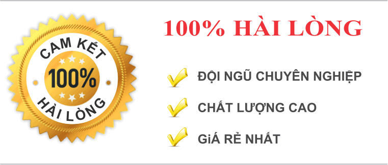 DOS cam kết chất lượng dịch vụ thiết kế web Biên Hòa-Đồng Nai